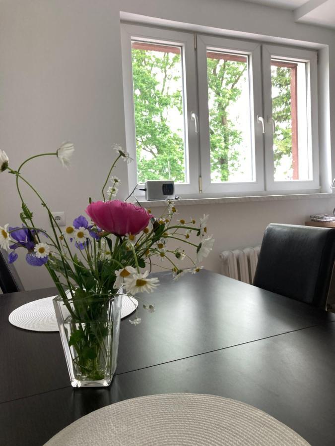 Apartament Karolewo Karolewo  المظهر الخارجي الصورة
